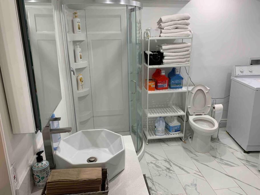Big Oasis Studio Near Airport Yyz Hotel Toronto Ngoại thất bức ảnh